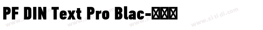 PF DIN Text Pro Blac字体转换